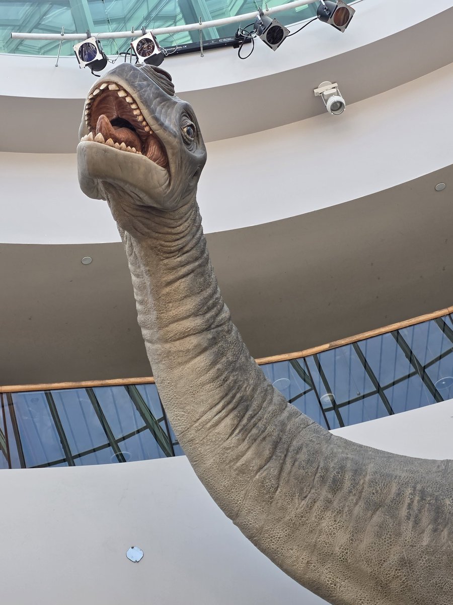 Geeky✨️Celestial Thing✨️ tweet media