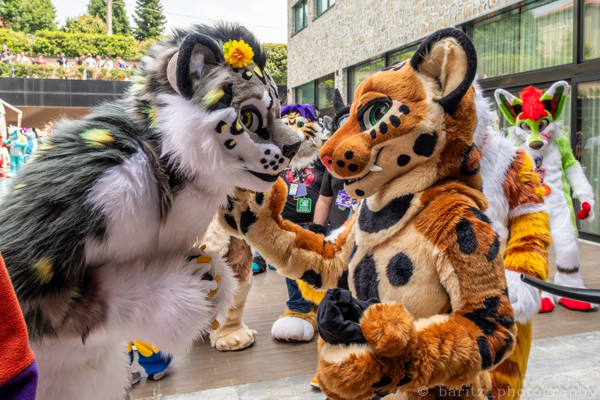 🇺🇦🇩🇪 AkoroSnep 🔜 FZ🇮🇹 East14🇩🇪 tweet media