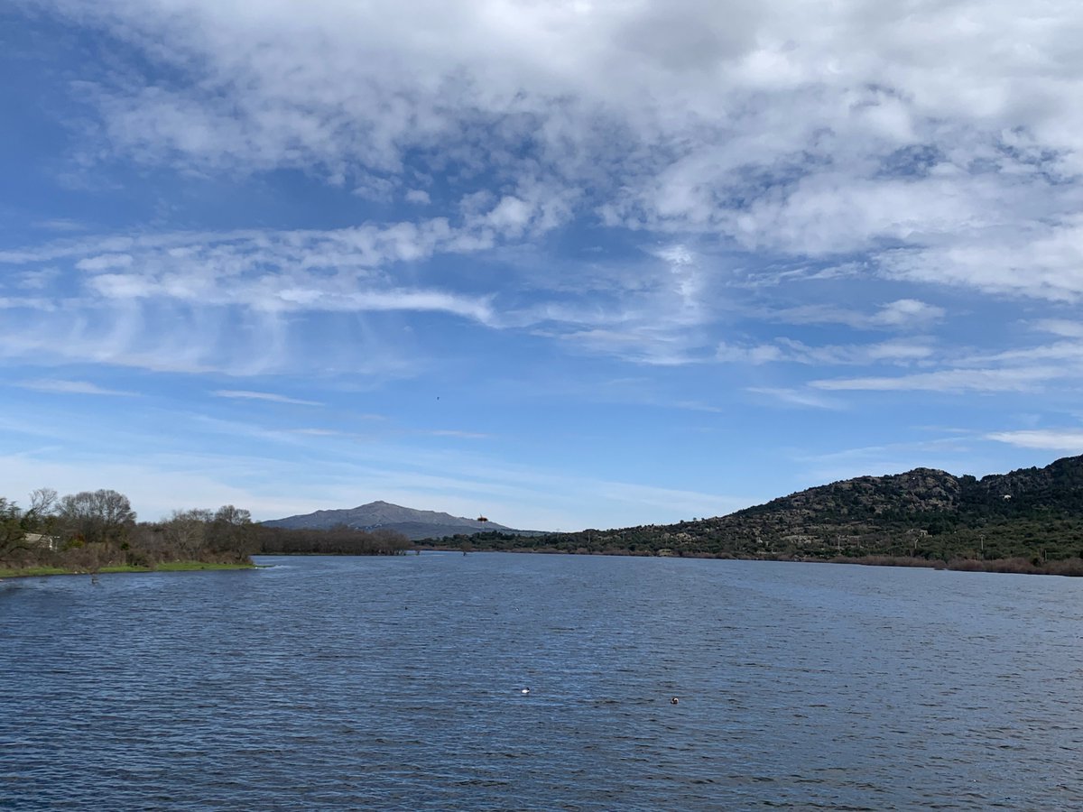 Gabriela tweet media