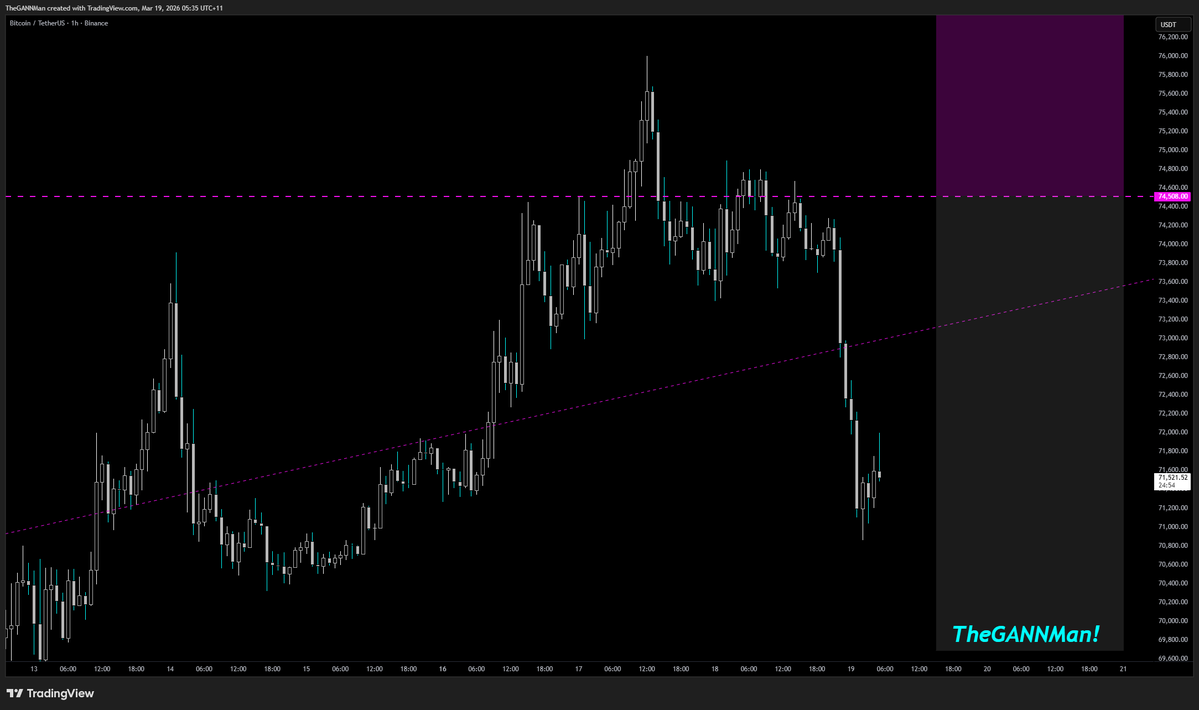 TheGANNMan! tweet media