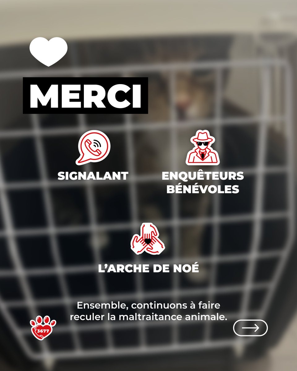 SOS Maltraitance Animale tweet media