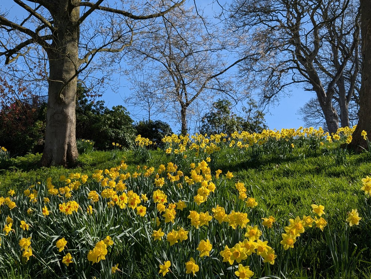 Cheshire Gardens Trust tweet media