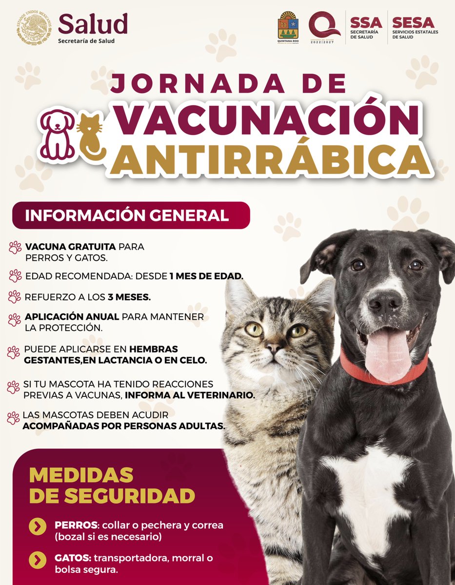 SESA Quintana Roo tweet media