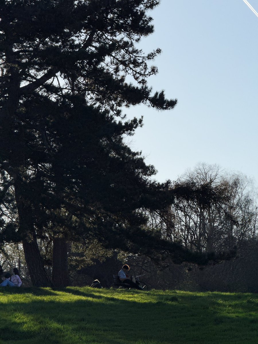 Vadim Popov tweet media