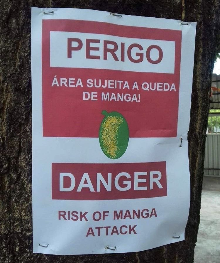 Shitpost só que de verdade tweet media