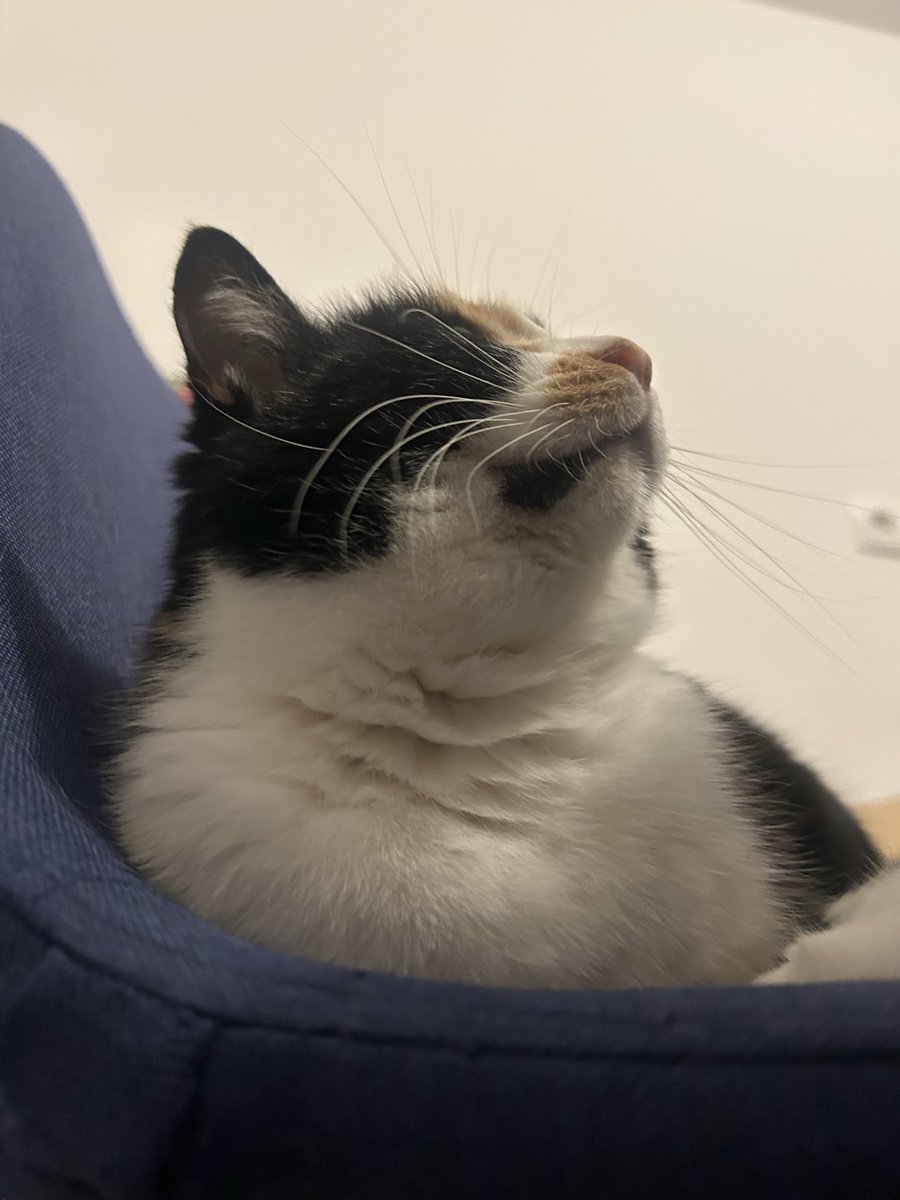 Tartelette tweet media