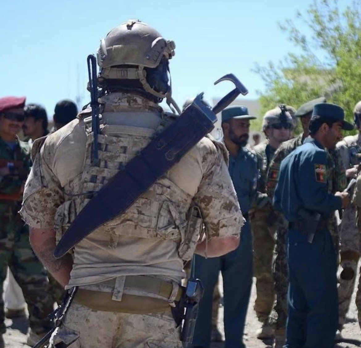 Bud Gibson tweet media