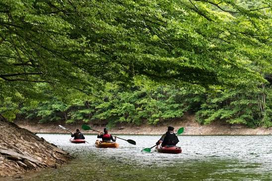 russian Embassy in Belgium (пародія) tweet media