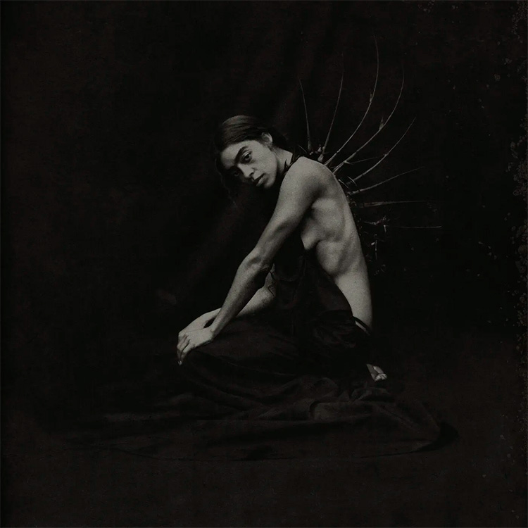 TECO APPLE tweet media