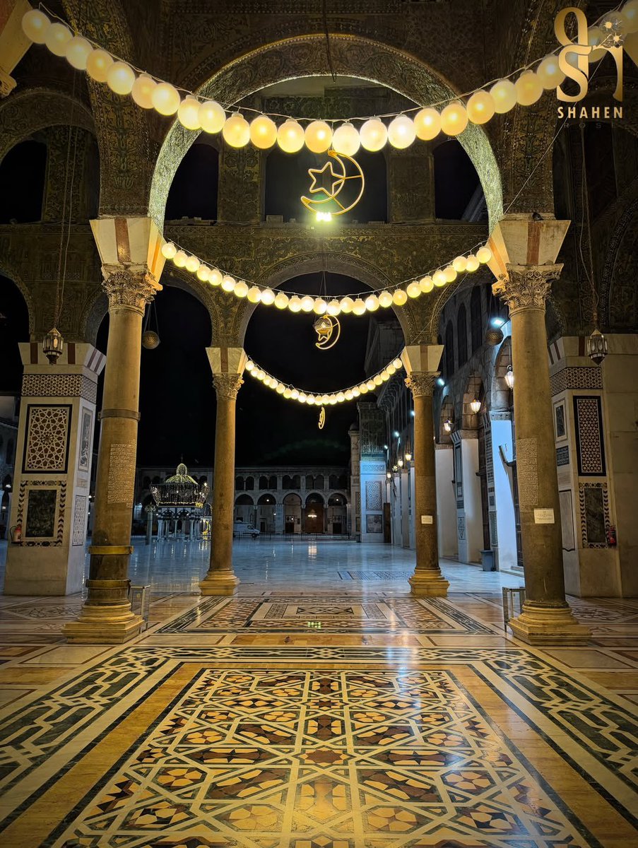 Syria Visual tweet media