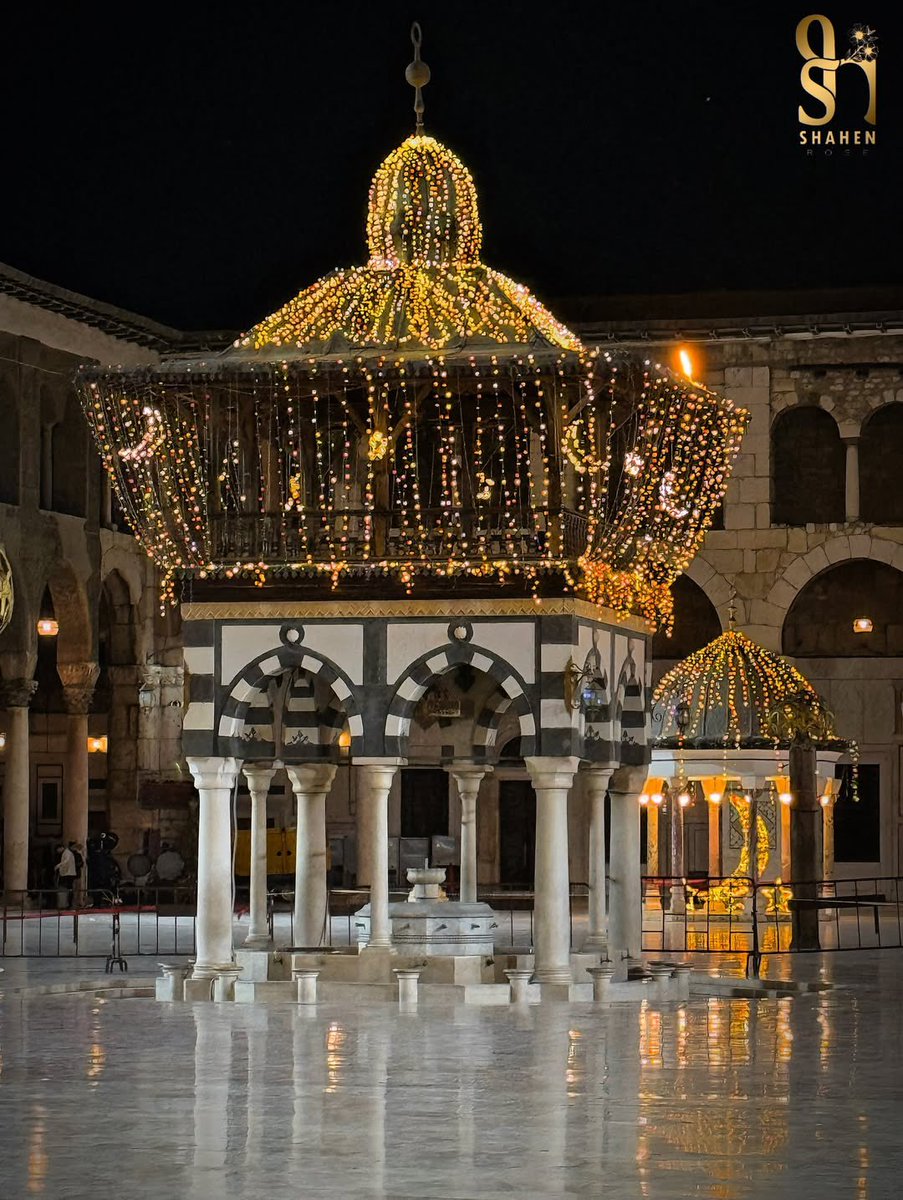 Syria Visual tweet media