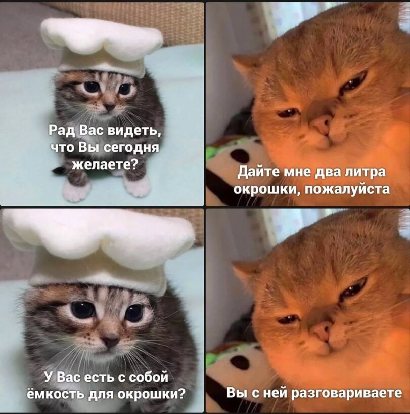 Радио Ночных котов 🇨🇦💙💛🇺🇦 tweet media