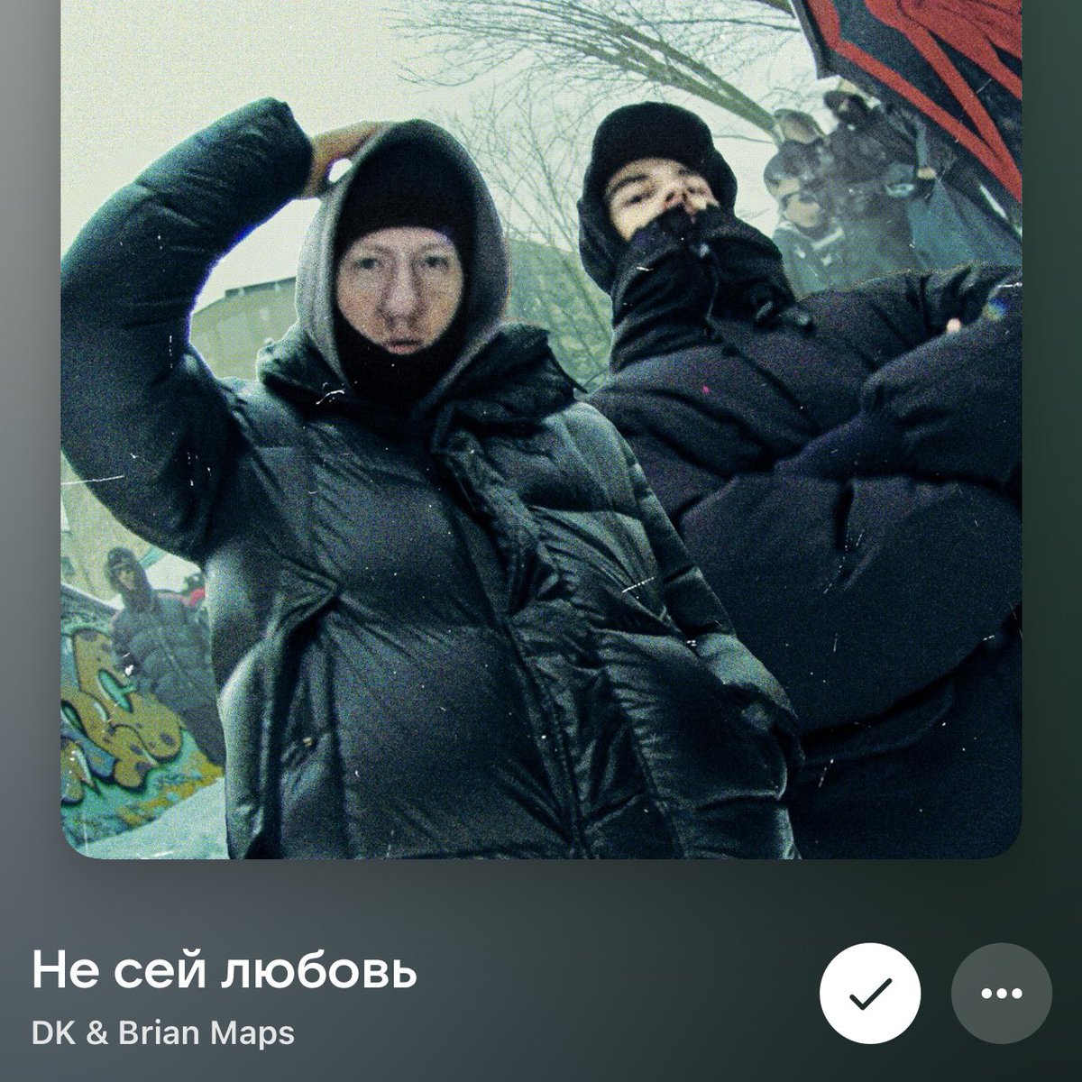 hikly the imbecile twat tweet media