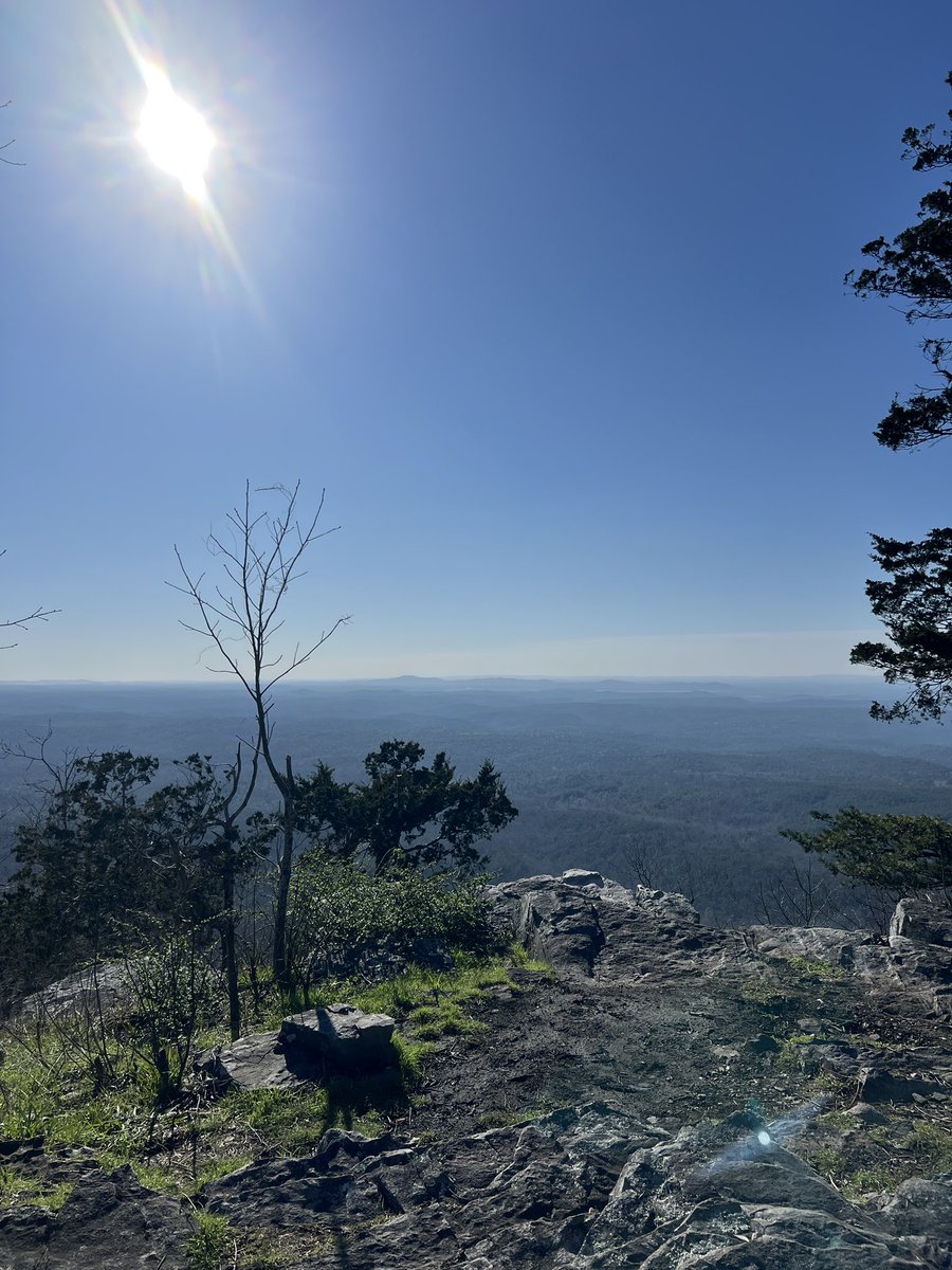 Eric Leon Allen ⛩️ tweet media