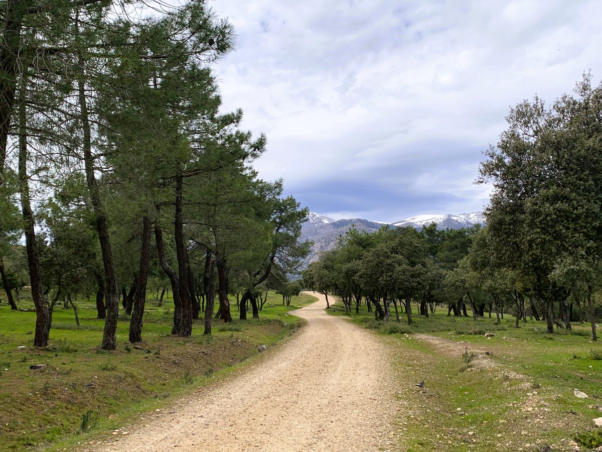 Gabriela tweet media