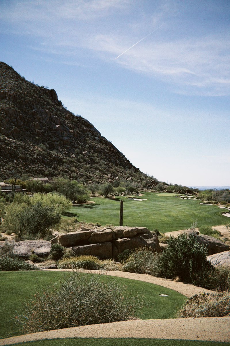 Hayes “Needlepoint” Langford tweet media