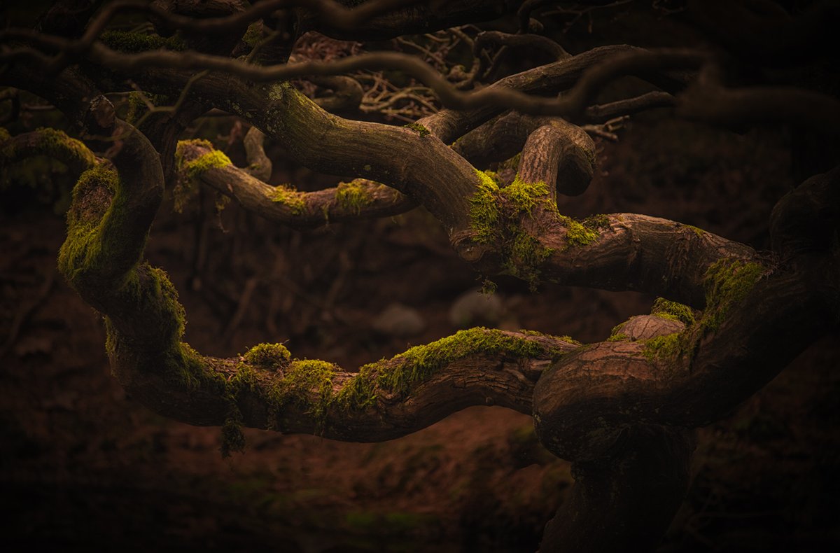 Stephanie Alexandra tweet media