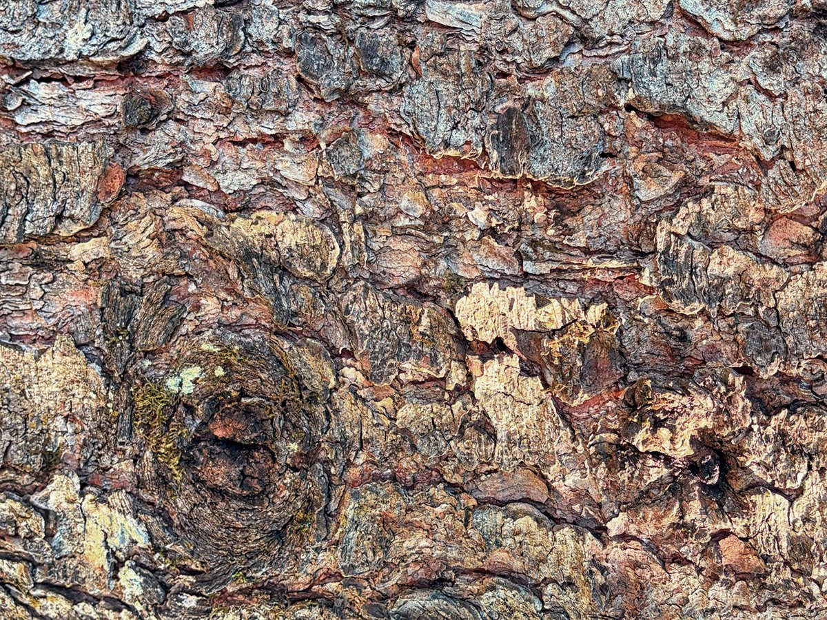 Stephanie Alexandra tweet media