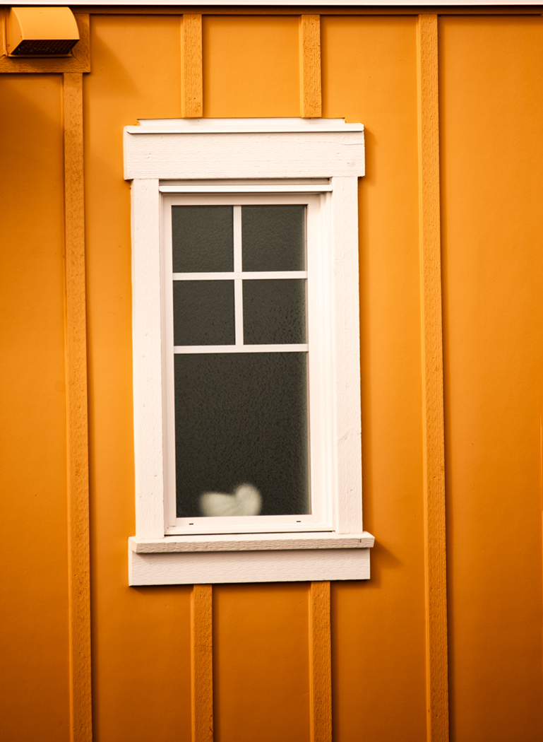 Stephanie Alexandra tweet media