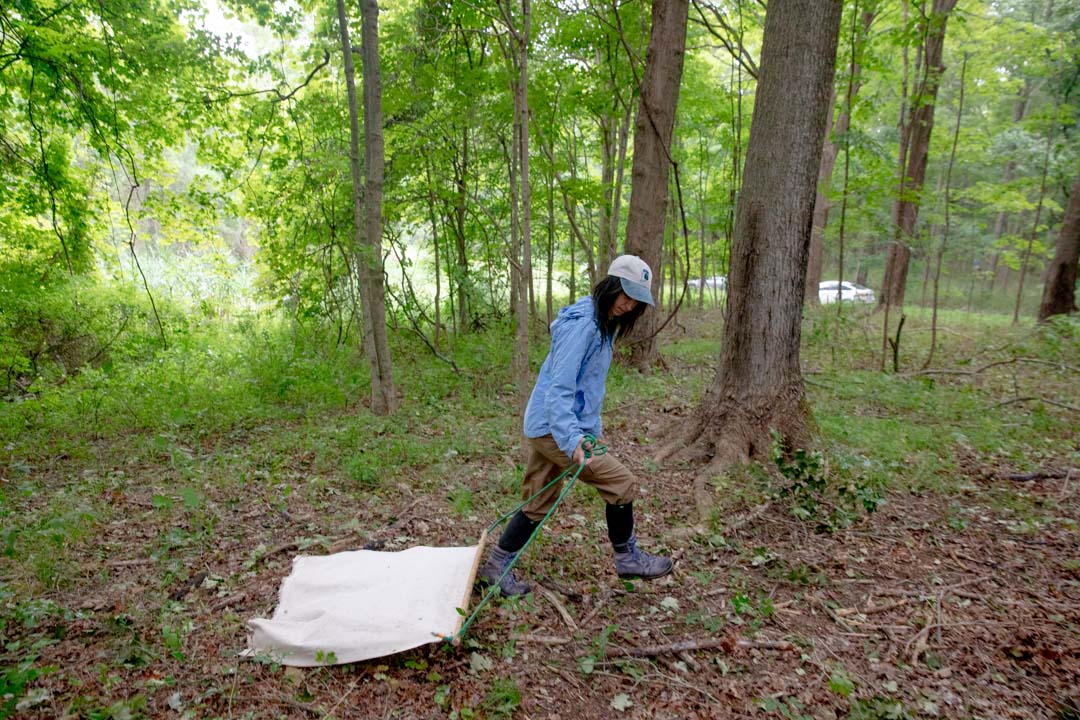 Connecticut Mirror tweet media