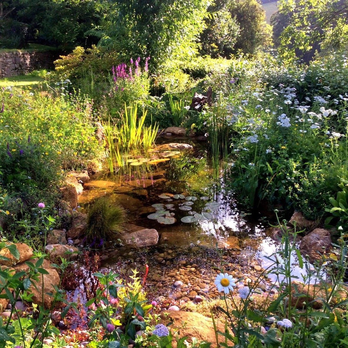 Small fae pond. The fae love it and bring me gifts for keeping it nice.