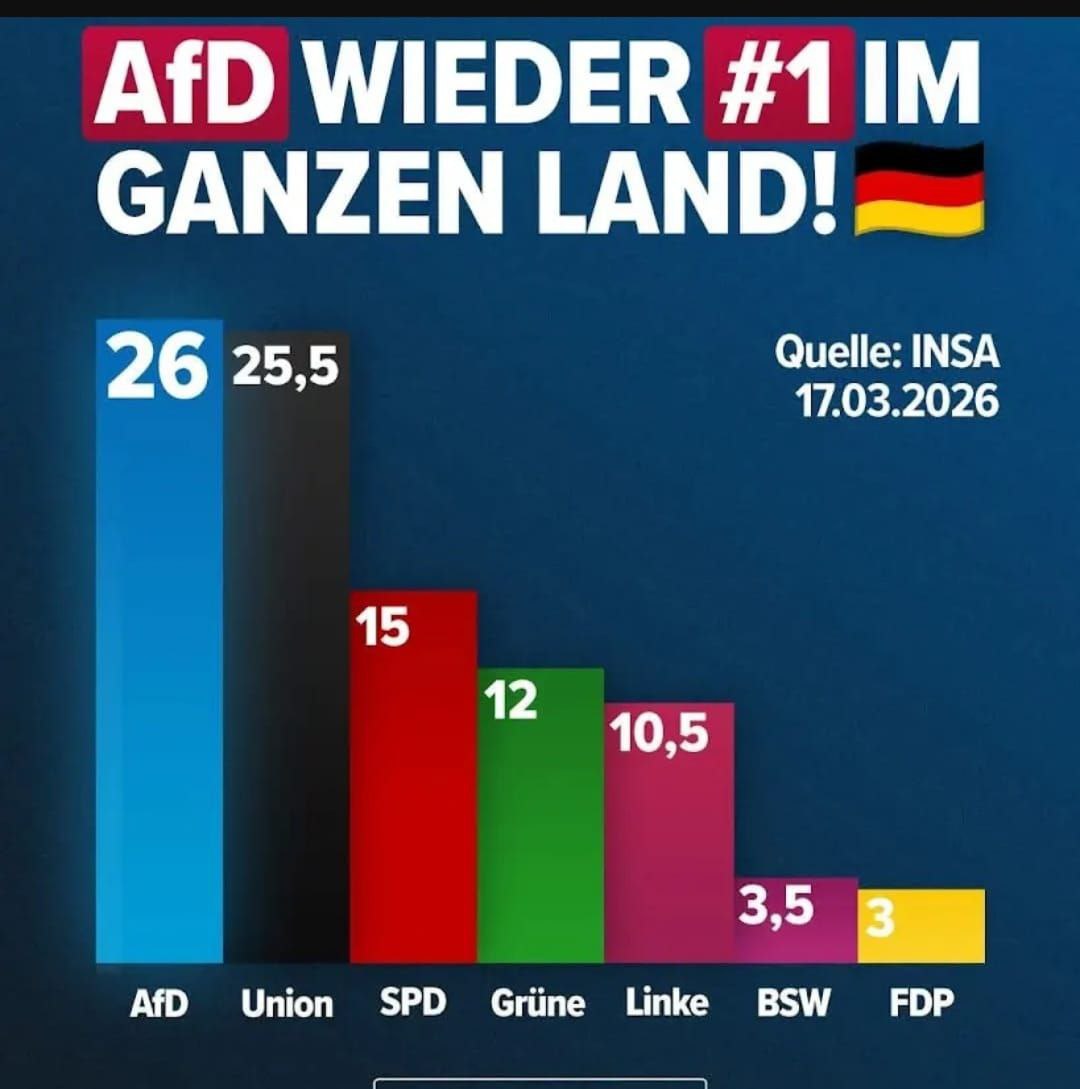 Rolly aus dem Ruhrgebiet #100%Biodeutsch tweet media