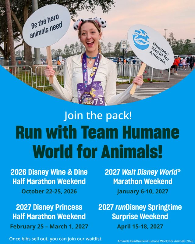 Humane World for Animals tweet media