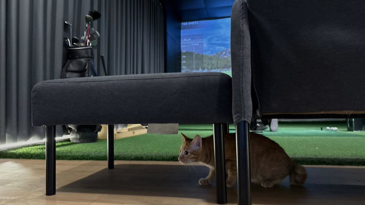 ۫ (@lafferraric) on Twitter photo 