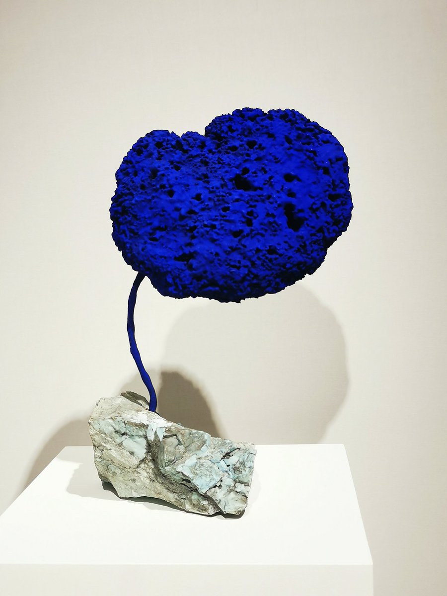 Sol G. Moreno tweet media