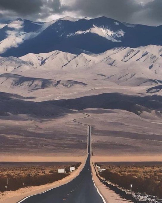 Raskolnikov tweet media