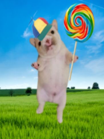 Guma (SUBMECHANOPHOBIA CEO)☀️☁️ tweet media