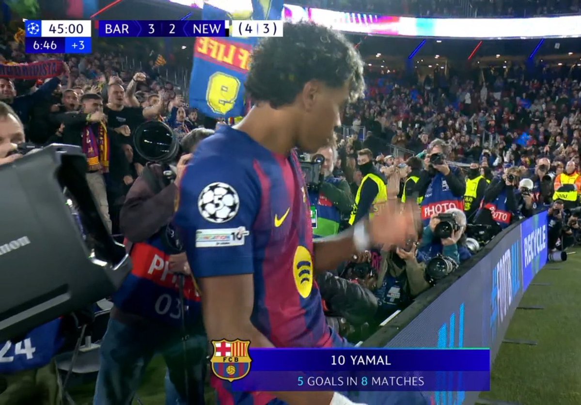 Berneese tweet media