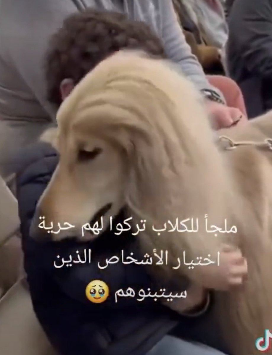 كساب البروليتاري tweet media
