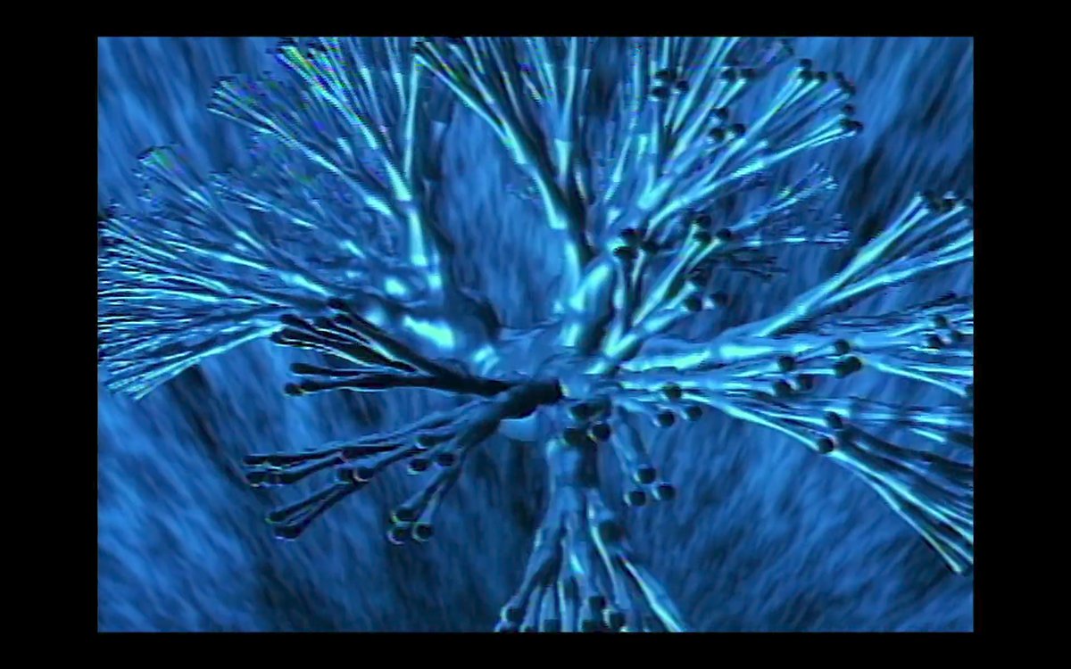 Les enfants du drive tweet media