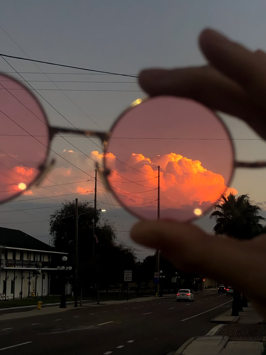 Aesthetics 𝕏 tweet media