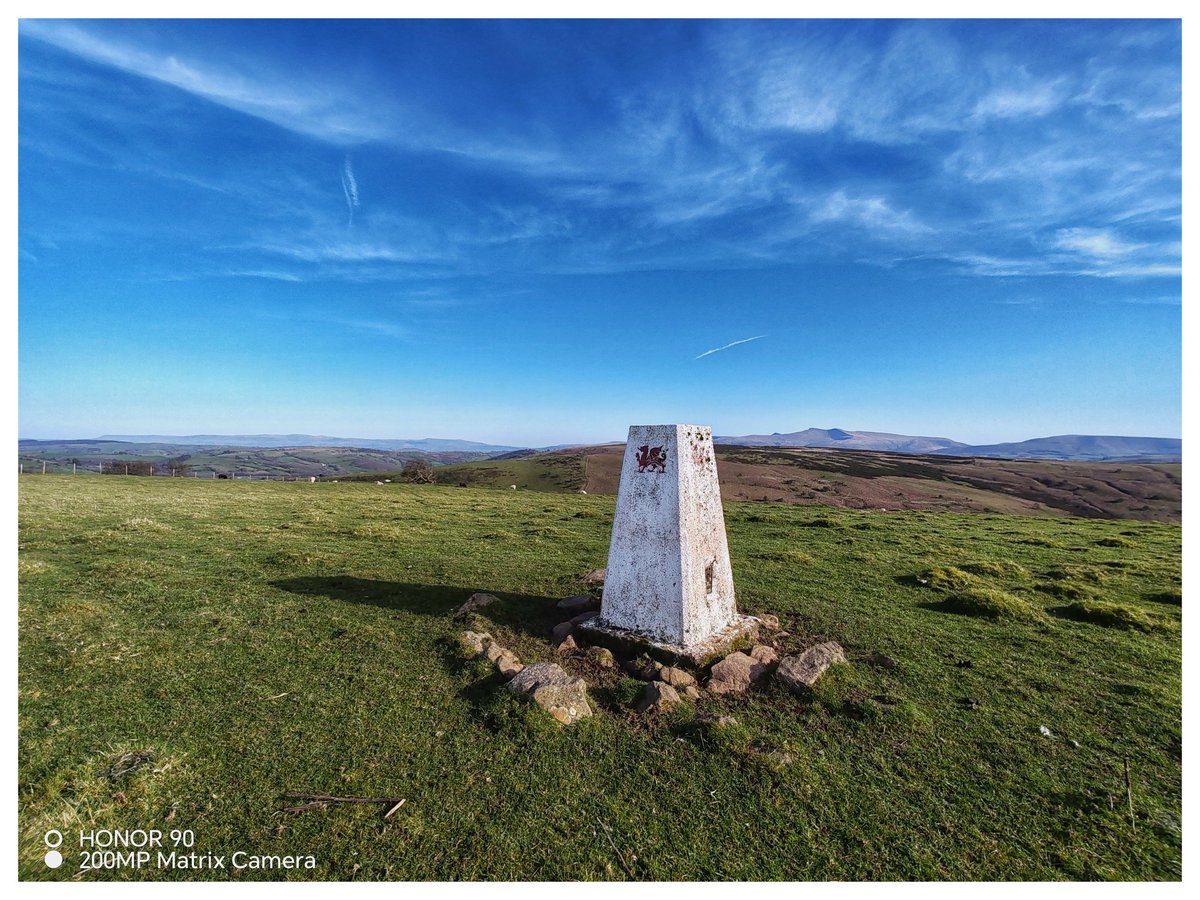 Martin Whittaker tweet media