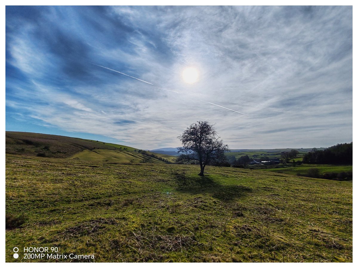 Martin Whittaker tweet media