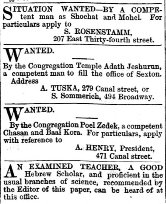 Historicus Hasidicus tweet media