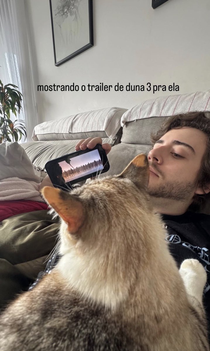 acervo cellbit tweet media