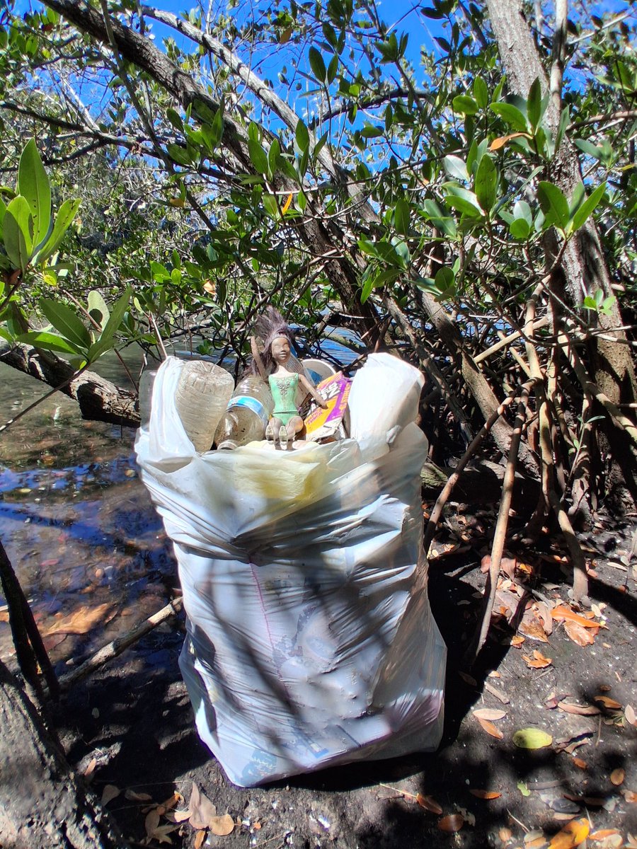 TommyPicsUpTrash tweet media