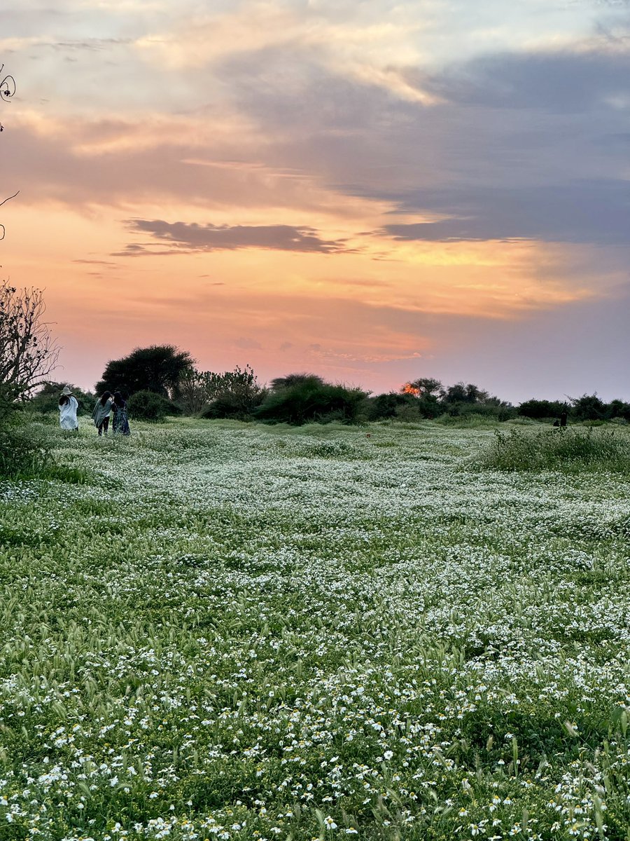 سعُود الشمري tweet media