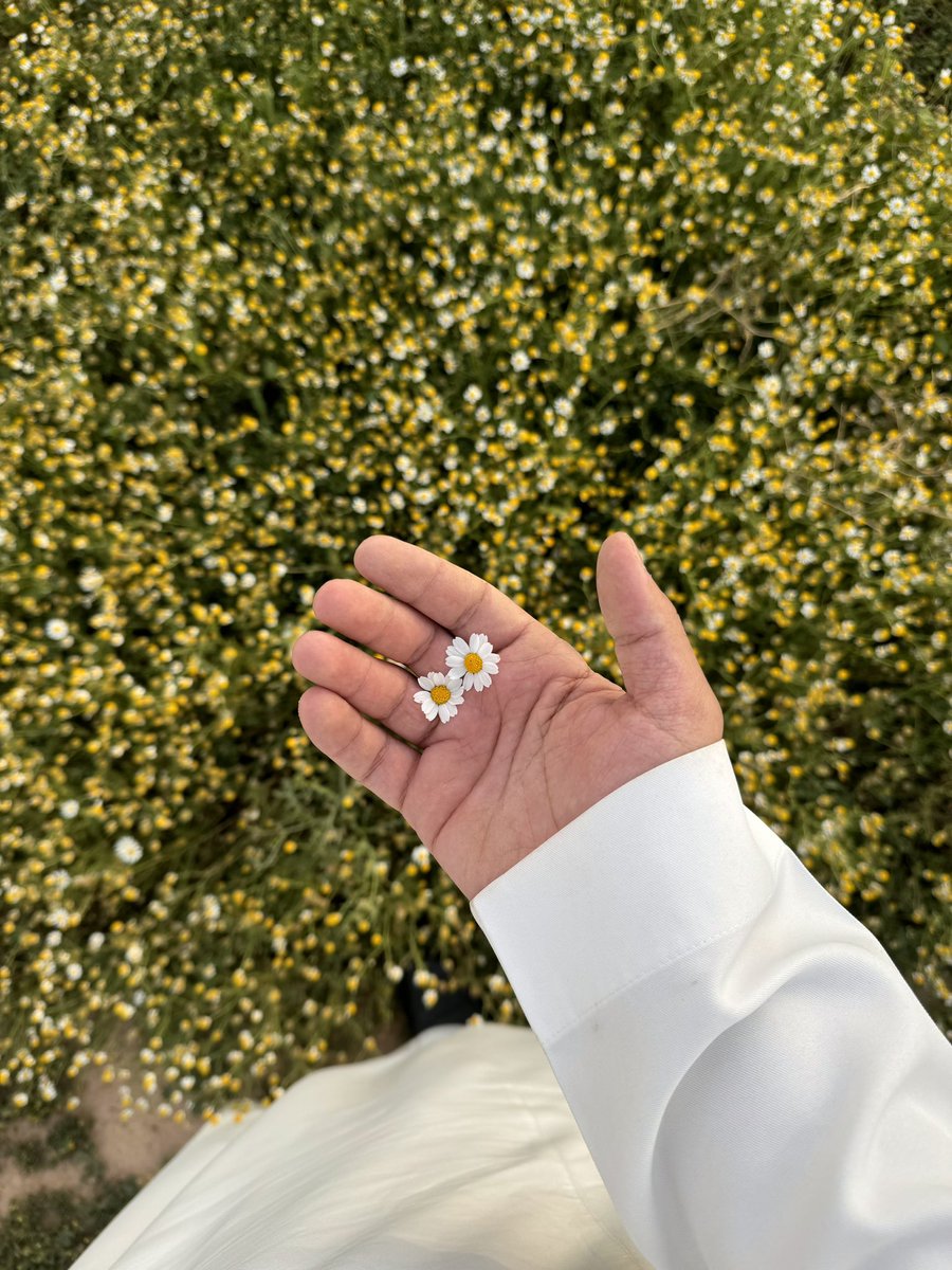 سعُود الشمري tweet media