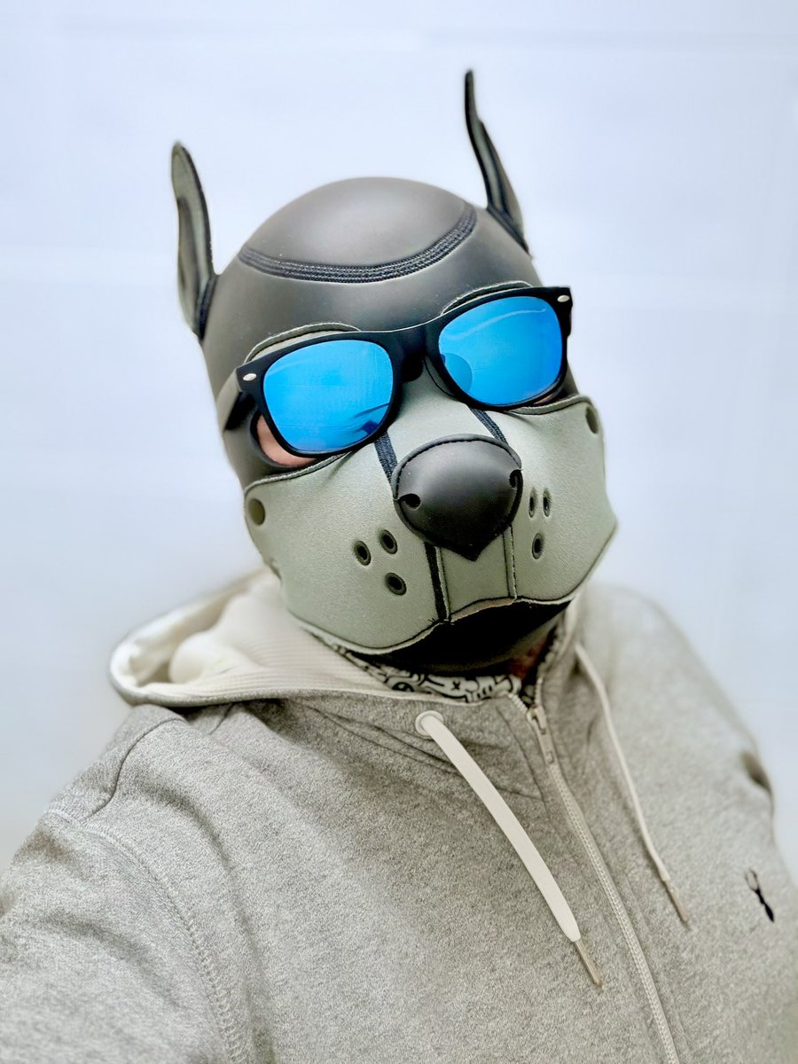 PupHugsy tweet media
