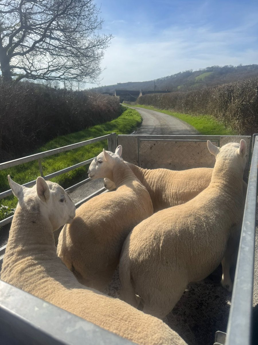 Aled Johnson tweet media