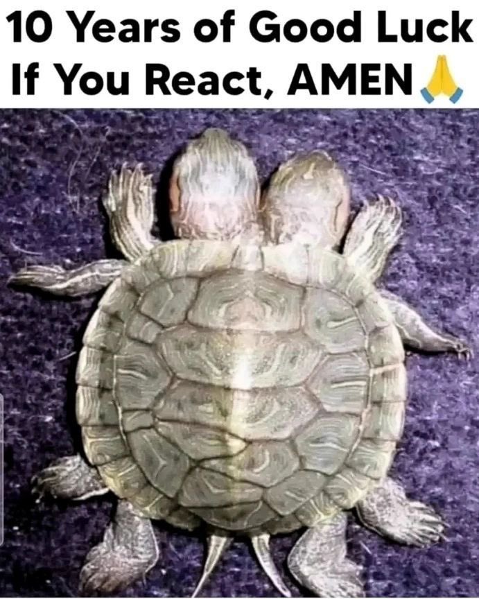 Law Of Attraction Coach tweet media