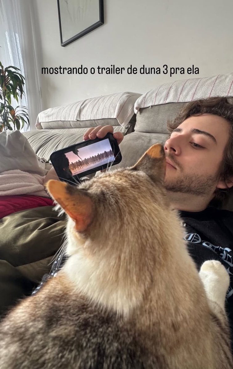 thataᝰ tweet media