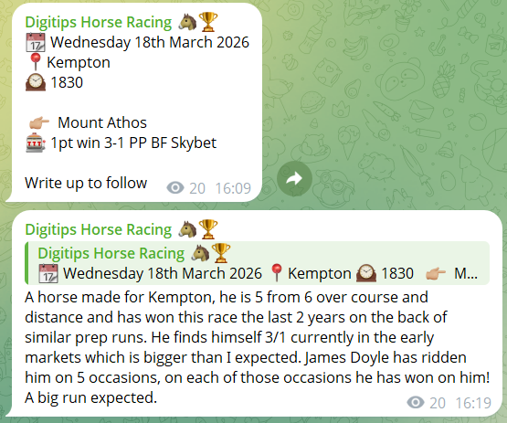 DigiRacing tweet media