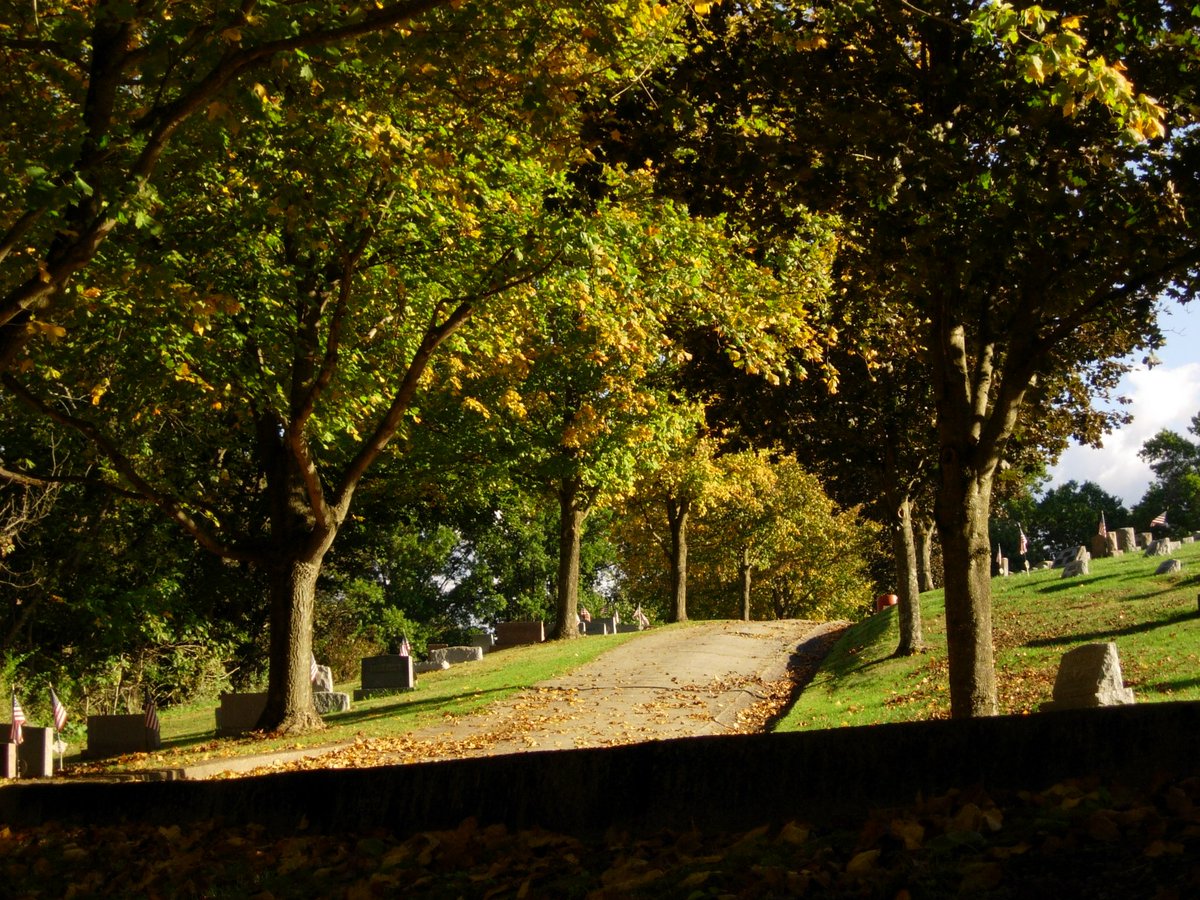 coolratfan tweet media