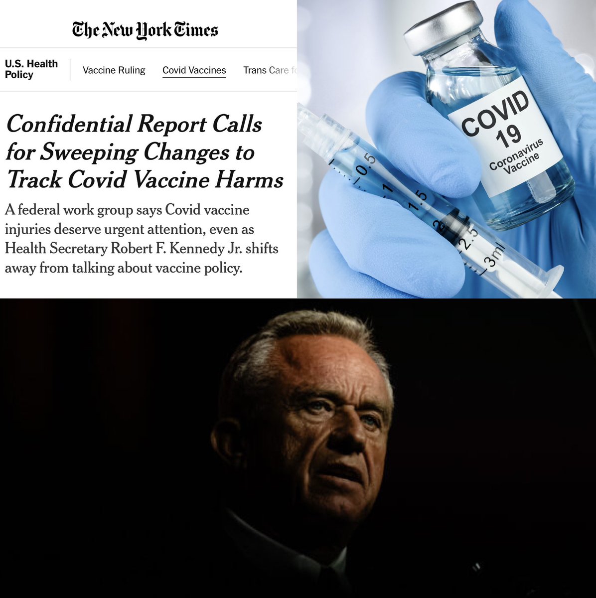 Liz Churchill tweet media