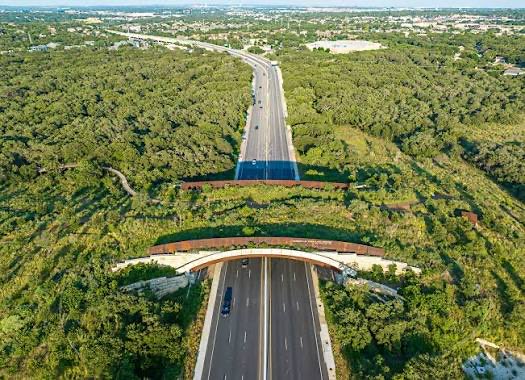 Chorizo Ag tweet media